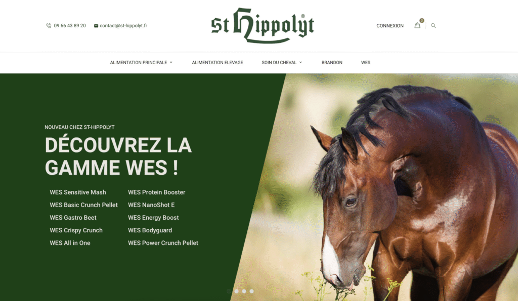 SEO – St Hippolyt